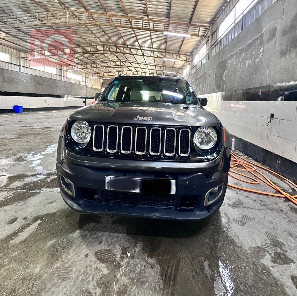 جيب رينيجيد